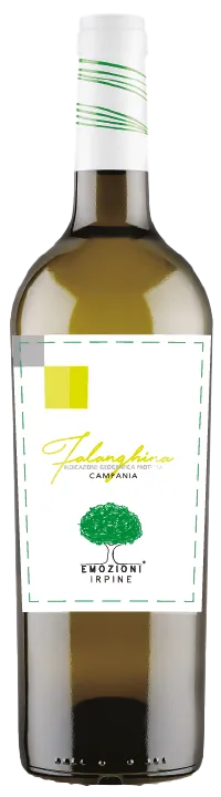 Falanghina